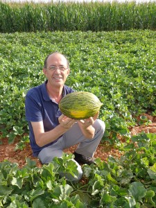Federico Aparici con un melón recién cogido