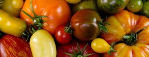 Variadades de tomates