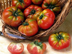 Tomates Naranjas Lola