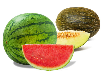 Sandías y melones Sandías y melones
