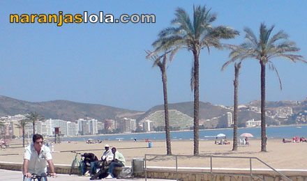 Fotos de Cullera: La Playa de Cullera. Imágenes de Cullera