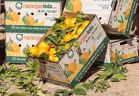 Cajas ecológicas de madera de Naranjas Lola