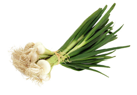 CEBOLLAS