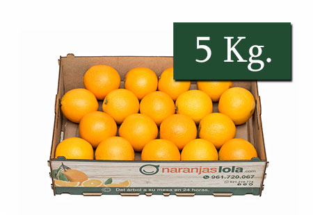 NARANJAS DE MESA