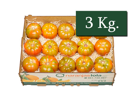 TOMATE RAF