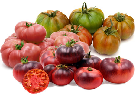 Tomate RAF, Tomate Azul Lola y Tomate Rosa Lola Tomate RAF, Tomate Azul Lola y Tomate Rosa Lola