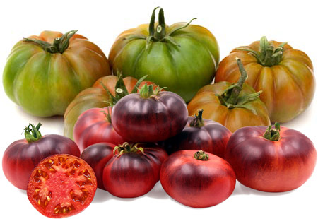 Tomate RAF y Tomate Azul Lola Tomate RAF y Tomate Azul Lola