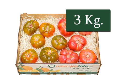 TOMATE RAF Y ROSA