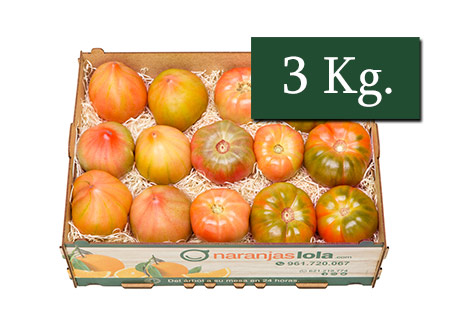 TOMATE RAF, ROSA Y VALENCIANO