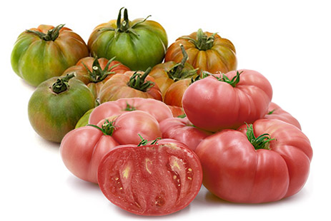 Tomate RAF, Tomate Rosa Lola y Tomate Valenciano Tomate RAF, Tomate Rosa Lola y Tomate Valenciano