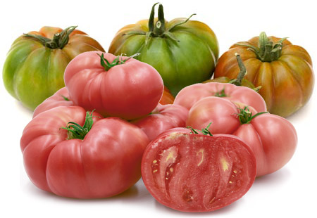 Tomate RAF y Tomate Rosa Lola Tomate RAF y Tomate Rosa Lola