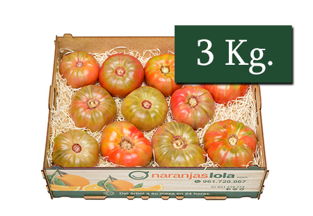 TOMATE ROSA LOLA