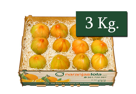 TOMATE VALENCIANO