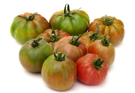 Tomate RAF y Tomate Valenciano