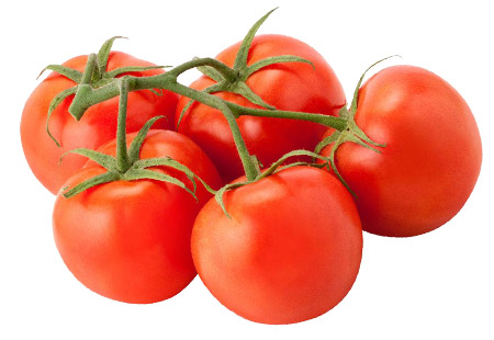 TOMATES EN RAMA